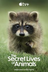 La vida secreta de los animales